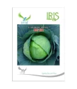 Iris Hybrid Vegetable Seeds, F1 Hybrid Cabbage IHS-801, Attractive Green Color