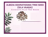 Pioneer Agro Albizia Odoratissima (Sila Vaagai) Tree Seed, 100% Natural Seeds.