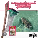 Chipku - Pheromone Trap Funnel with Pink Bollworm Lure to Catch Insect Moth of Pink Bollworm (PBW) (Pectinophora Gossippiella) In Cotton Crop.