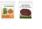 SK ORGANIC Combo Pack (Alfalfa Lucerne seeds 500 Gm + Hedge Lucerne Seeds 500 Gm) Velimasal-Dasrath Seeds