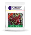 Hybrid Sarpan-102 Byadagi Chilli Seeds, Cherry Red Color, Suitable for Irrigated Cropping and Dryland Farming