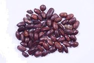 RK Seeds- Samanea Saman seed  Rain Tree Seeds,Avenue  tree seeds Samanea Saman Seeds,  , SHADE tree seeds , Best for planting in Road Avenue , Garden 