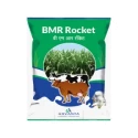 Advanta Golden Hybrid Forage BMR Rocket ,Quick feed ,Reduced Lignin Content ,High Energy Levels ,Increased Productivity Across Multiple ends Uses.