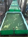 Real Trust HDPE Azolla Bed 12 FT x 4 FT x 1 FT ISO Certified, 100 % Virgin Fabric.