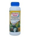 Amutham Flower (Reduce The Flower Droppings and Increase The Fruit Setting)
