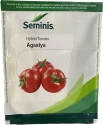 Seminis Hybrid Agastya Tomato Seeds (3500 Seeds) Recommended for Rainy Season Planting, and Early Harvest