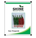 Chilli Umang F1 Hybrid - Shine Brand Seed, Mirchi Ka Beej, Vegetable Seeds.