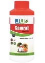 JU Samrat Imidacloprid 17.8 SL Insecticide, Systemic Action, Sucking Pests and Termites Controller