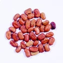 RK Seeds Sesbania grandiflora , Agati Seeds  Sesbania grandiflora Seeds Sesbania Seeds , Fodder Seeds , Hummingbird Tree Seeds, fodder seeds planting