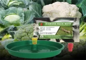 ACTIVE IPM Water Trap + Plutella xylostella Pheromone Lure , Pest Control Tool for Diamond Back Moth