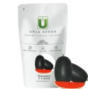 Urja US 20011 F1 Hybrid Watermelon Seeds, Oblong Shape and Dark Green In Color