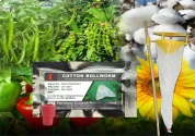 ACTIVE IPM Funnel Trap + Helicoverpa Armigera Pheromone Lure,  Pest Control Tool for  Cotton Bollworm