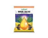 Mahyco MRR-8030 Hybrid Mustard Seeds, Medium Duration High Yielding Variety