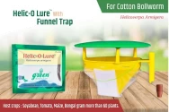 Funnel Trap And Helic O Lure (Helicoverpa Armigera Pheromone) For Brinjal, Gram, Red gram, Cow pea, Ground Nut, Soyabean and Tomato.