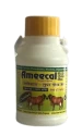 Ameecal Super Gold Gel Mineral Mixture Increases Milk Yield & Calcium Level