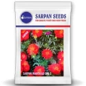 Sarpan Hybrid Marigold SFR-5 , French Marigold Seeds, Copper Red Color, Flower Seeds
