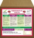 Urvara Pomegranate Kit 100 % Organic Product Kit, Best For Growth And Flowering.