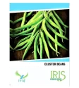 Iris Hybrid Cluster Beans Vegetable Seeds, Guar Ke beej, Guar Na Bee, Best In Germination (20 Seeds)