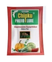 Chipku - Pheromone Mac Phill Trap With Melon Fly Lure (Bactrocera Cucurbitae) Weather Proof Long Lasting, For Melons, Cucumber, Tomato, Zucchini, Bean