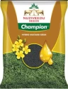 Nuziveedu Champion Hybrid Mustard Seed, Sarson Ka Beej, Excellent Quality  