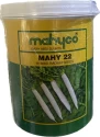 Mahyco Radish Hybrid MAHY 22 Seeds. Uniform Shape, Smoooth - White Crispy Surface.