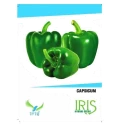 Iris Hybrid Green Capsicum Vegetable Seeds, Excellent Germination And Used In All Seasons