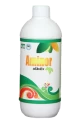 Aminor Amino Acid 20% , Amino Acids Help to Increase Chlorophyll Concentration In the Plant Leading to Higher Degree of Photosynthesis