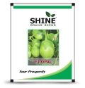 Hybrid Brinjal Opal F1 Seeds, Shine Brand, Began Bhatta Beej, Vegetable Seeds