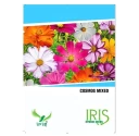 Iris Hybrid Flower Seeds Cosmos Mix, Annual Flowers, Best For Lawn Fencing.