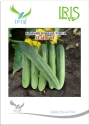 Iris Vegetable Seeds, F1 Hybrid Cucumber Maruti Variety (Attractive Green Color)