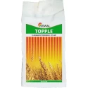 Swal Topple Clodinafop propargyl 15% WP , Selective Post-Emergent Herbicide