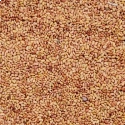 RK Seeds Grass seeds, Alfalfa seeds , Lucerne seeds, Medicago Sativa , Cattle grass seeds , Fodder, grass seeds, Kuthirai masal grass seeds  