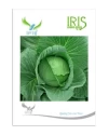 Iris Hybrid Vegetable Seeds Cabbage, Paat Gobhi Ke  Beej, Paata Gobhi Ke Beej.