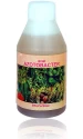 ROM Azotobacter (Nitrogen Fixing Bacteria) For Promoting Growth And Yields, Fixing Atmospheric Nitrogen.