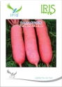 Iris Hybrid Vegetable Seeds, Imported Chinese Pink Radish Special, Pinkish Red Color