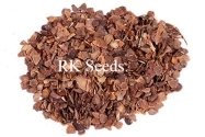 RK Seeds - Jacaranda, Blue Jacaranda Tree Seeds, Jacaranda Mimosifolia Seeds, Black Poui, The Fern Tree Seeds Ornamental Flowering Tree Seeds planting