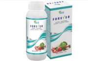 FOREVER - Plant Growth Promoter Special , Yield Enhancer , Immunity Booster (Humic Acid + Amino Acid + Seaweed Extract + Fulvic + Cytokinin)