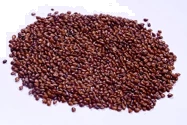 Hedge Lucerne Velimasal Grass Seed, For All Type Of Soils, Rich In Proteins