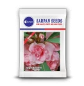 Sarpan Balsam-8 Flower Seed, Light pink flowers, Excellent for bedding and potting