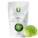 Urja Iceberg Lettuce Seeds, Light Green Fringed and Heavily Ruffled Outer Leaves