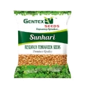 Gentex Sunhari Research Fenugreek Seeds, Methee Seeds, High Yielding & Medium Bolding Variety