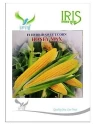 Iris Hybrid Vegetable Seeds F1 Hybrid Sweet Corn Honey Max, Best In Taste. 