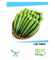 Iris Hybrid Vegetable Okra Seeds, Bhindi Ke Beej, Best For All Seasons With Good Germination (15 Seeds)