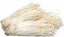 Enoki (Enokitake) (Flammulina Velutipes) Culture In Test Tube, 100% Clean, Active Mycelium