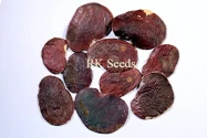 RK Seeds - Butea Monosperma  Seeds , Palash seed, Flame Of Forest Tree Seeds - Ornamental Seeds Avenue Tree Seeds - Flowering Tree Seeds for planting 