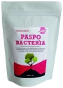 Phospho Bacteria , Stimulates Plant Growth And Increase Crop Yield, Protection Against Drought and Some Soil-Borne Diseases