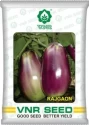 VNR Rajgaon Brinjal Seeds , Purple Green Oblong Shaped With Light Purple Calyx