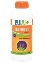 Ju Burn Out , 2-4-D Amine Salt 58 SL, Post- Emergent Systemic Herbicide For Control Of Broad Leaf Weeds In a Range of Crops and Aquatic Conditions