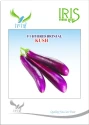 Iris Hybrid Vegetable Seeds, Kush F1 Hybrid Brinjal Seeds, Suitable for Semi Erect Plant