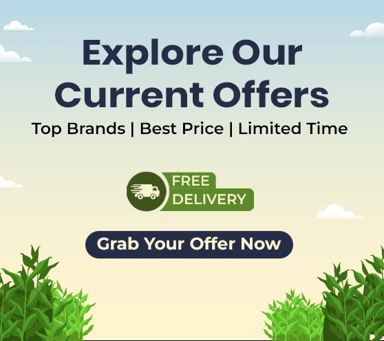 Explore Our Current Offers Bundles